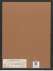 Navicula amphisbaena var. fenzlii (Grun.) V.H. (de-Toni-Nr.: Genus 1, Species 516) Zeichnungen Sammlung Grunow Mappe 00455 (Herbarium_W_Grunow_drawings_Folder_00455)